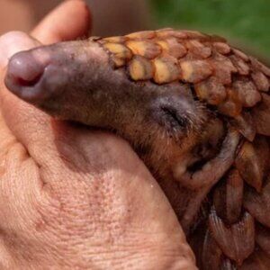 Reserved for Christine XO